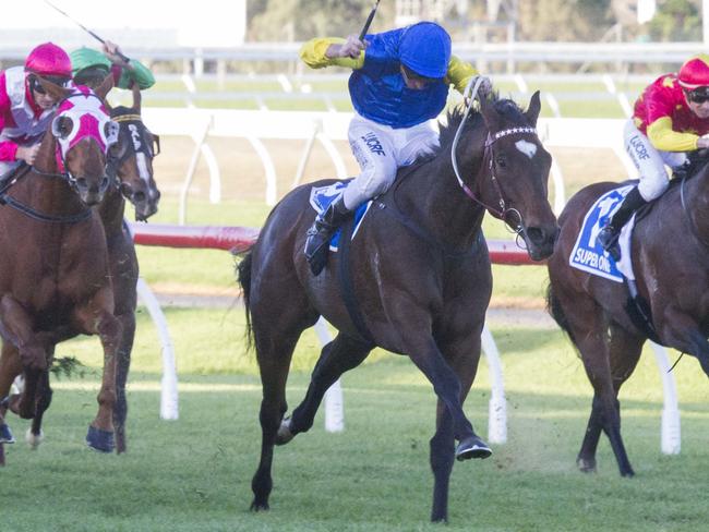 Track ~ Morphettville Date ~ 21.5.16 Jockey ~ Brad Rawiller Winner/Horse ~ Black Heart Bart Race Number ~ 7 Photo Credit ~ © Atkins Photography