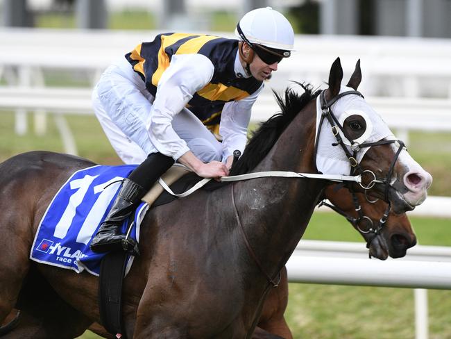 Golden Eagle: Ray and Duff assess every runner
