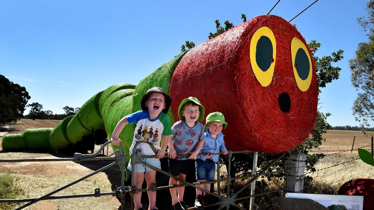 Even the hay looks like The Very Hungry Caterpillar at Eamon, Harry and Nate’s farm at Bridgewater, Victoria. Picture: Jay Town