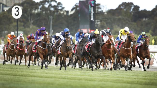 The Melbourne Cup field thunders down the Flemington straight the first time. Picture: David Caird