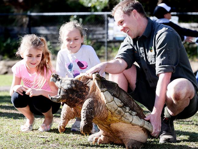 Tim Faulkner shows Leonardo to Taylah Doyle, 8, and Evie Barker, 8. Picture: Peter Clark