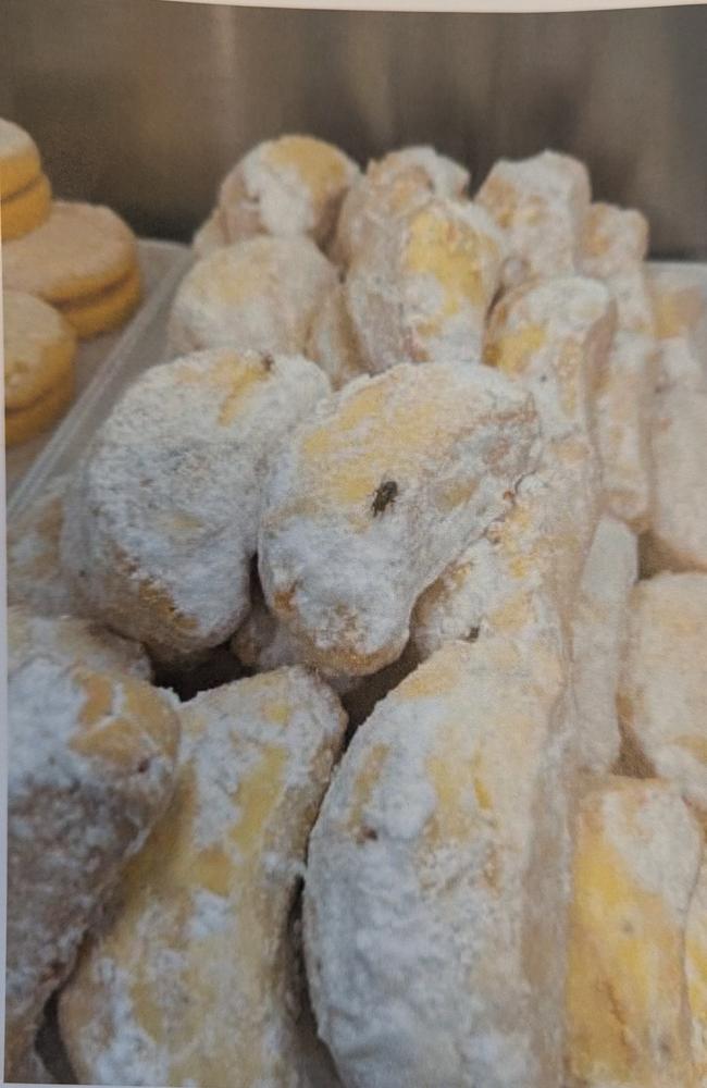 Pictures captured by City of Gold Coast Environmental Health Officers of dirty conditions inside former Mermaid Beach bakery Pane Organico. Picture: Supplied