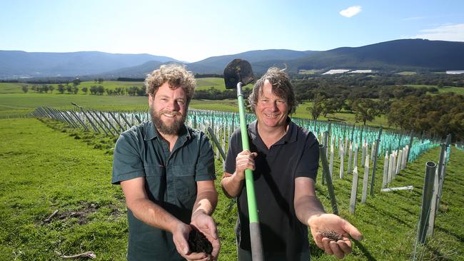 Earth Systems biochar manager Ryan O'Connor and Mac Forbes Wines assistant vineyard manager Dave Singleton at the new Mac Forbes vineyards, Yarra Junction. Picture: Yuri Kouzmin