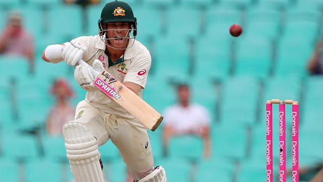 David Warner has helped change the game for the better. Picture: AFP