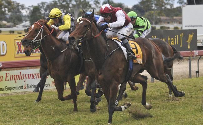 Horse number 7, Jerezana, ridden by Andrew Gibbons, comes in for the win during Race 6, the WHK Ramornie Handicap. Picture: JoJo Newby