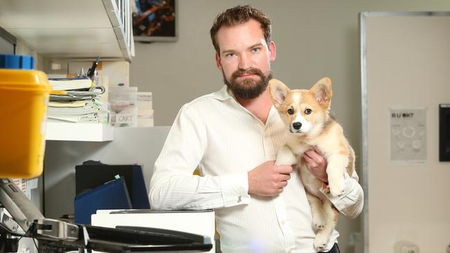 Sydney vet Dr Sam Kovac, pictured with Maddie, is worried pet owners are making decisions based off what they see on Youtube and Google. Picture: Richard Dobson