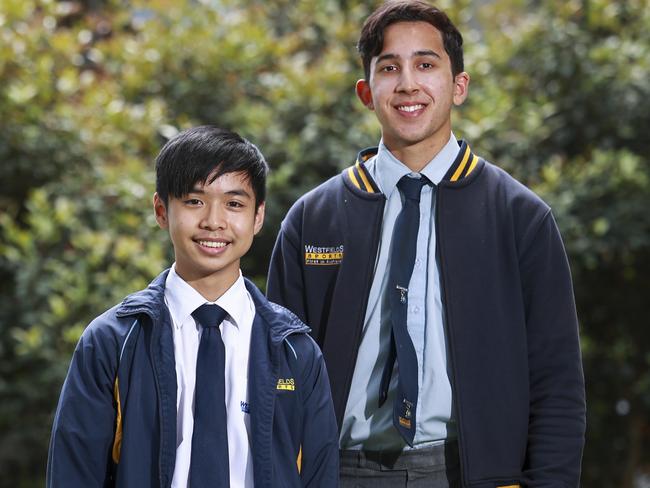 Goanna stumps HSC maths students