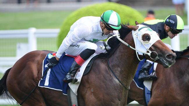 Jockey Martin Harley steers the Bevan and Richard Laming-trained colt Our Benefactor to victory in a 1400m 3Y0 Handicap at Eagle Farm on Saturday, February 15, 2025. Picture: Grant Peters/Trackside Photography