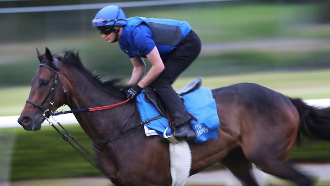 International raider Penglai Pavilion should not be underestimated in the Sydney Cup. Picture: Phil Hillyard