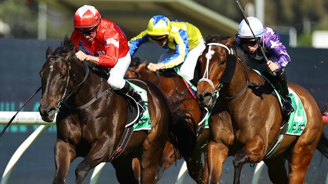 SYDNEY, AUSTRALIA - AUGUST 31:  Nash Rawiller riding Too Much Caviar wins Race 5 Cabra-Vale Diggers during Sydney Racing at Rosehill Gardens on August 31, 2024 in Sydney, Australia. (Photo by Jeremy Ng/Getty Images)