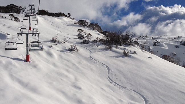 Thredbo fresh tracks