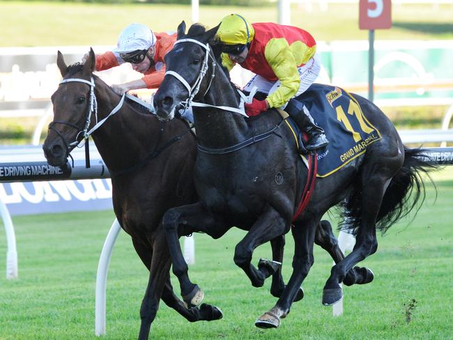 Grand Marshal runs down Who Shot Thebarman (rails) to win last year’s Sydney Cup. Picture: Simon Bullard