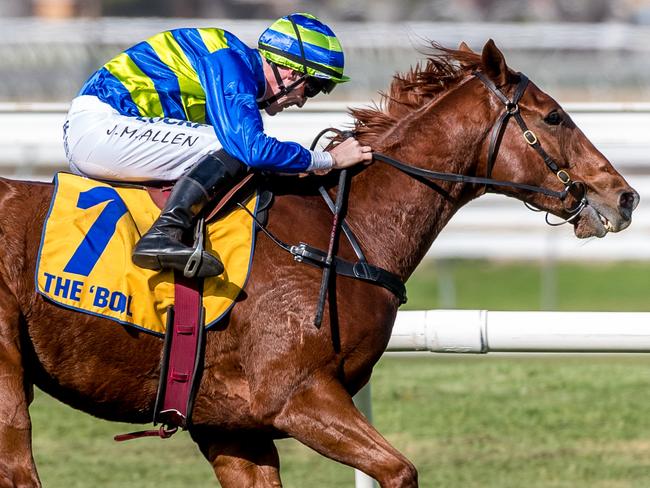 Warrnambool May Racing Carnival. Big Blue ridden by John Allen leads before winning during Race 6 - 3200m Hurdle. Picture: Jake Nowakowski