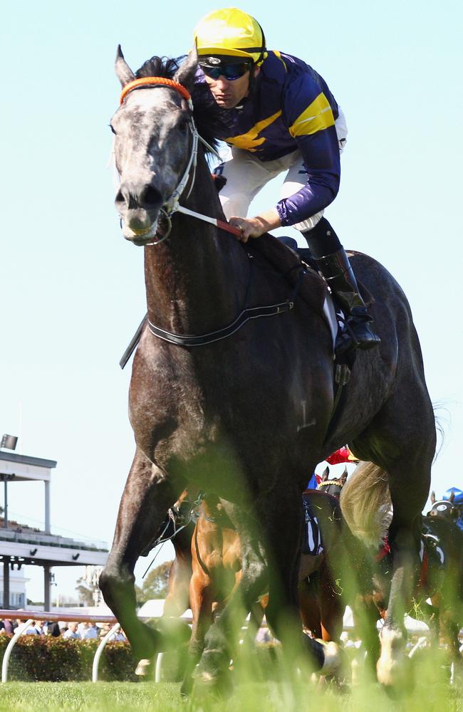 Melbourne only partnership: Dwayne Dunn pilots Chautauqua to victory in the 2014 Gilgai Stakes. Picture: Getty Images