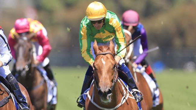 SYDNEY, AUSTRALIA - OCTOBER 29: Tommy Berry on Waterford wins race 3 the Furphy Handicap during Sydney Racing at Rosehill Gardens on October 29, 2022 in Sydney, Australia. (Photo by Mark Evans/Getty Images)