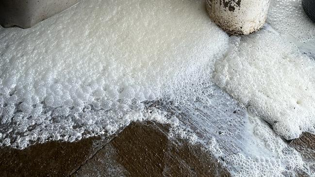 Thousands of litres of milk are dumped at Julie Moore's Dorrigo property in the aftermath of Ex- Tropical Cyclone Alfred. Picture: Supplied