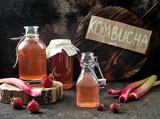 Kombucha is now on tap in the Tweed. Picture: Contributed