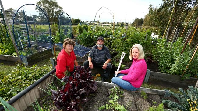 Labrador Community Garden president Vicky Goodrich, with Merrill Hughes and Wendy Nicholas. Picture: David Clark