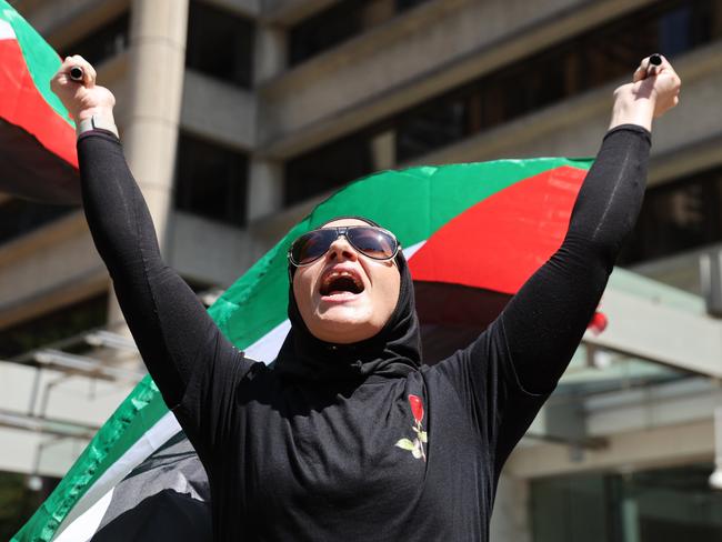 A protester at the rally. Picture: David Swift