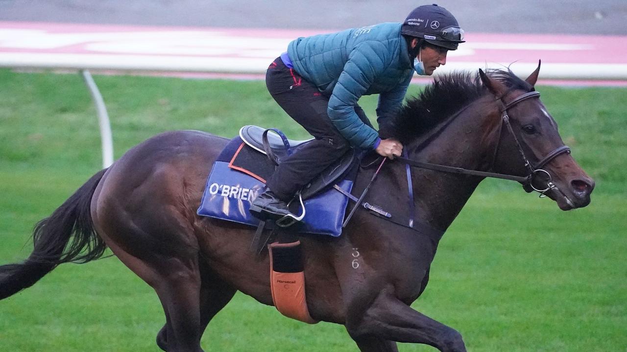 Moonee Valley trackwork