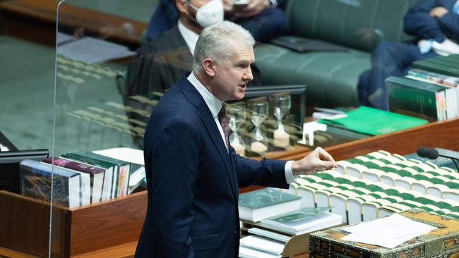 Last month, Arts Minister Tony Burke said the government was pushing ahead with plans to introduce laws that would require all streaming platforms to spend a yet-to-be-determined percentage of their local revenue on the production of local content. Picture: NCA NewsWire / Gary Ramage