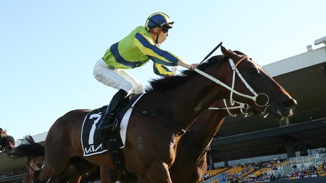 Tancred Stakes winner Kalapour will be one of the entries for the Caulfield and Melbourne Cups. Picture: Getty Images