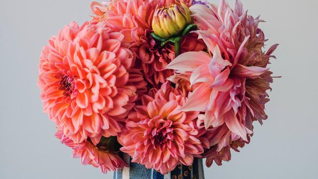 Jac Semmler’s new book Super Bloom is a love letter to flowers.