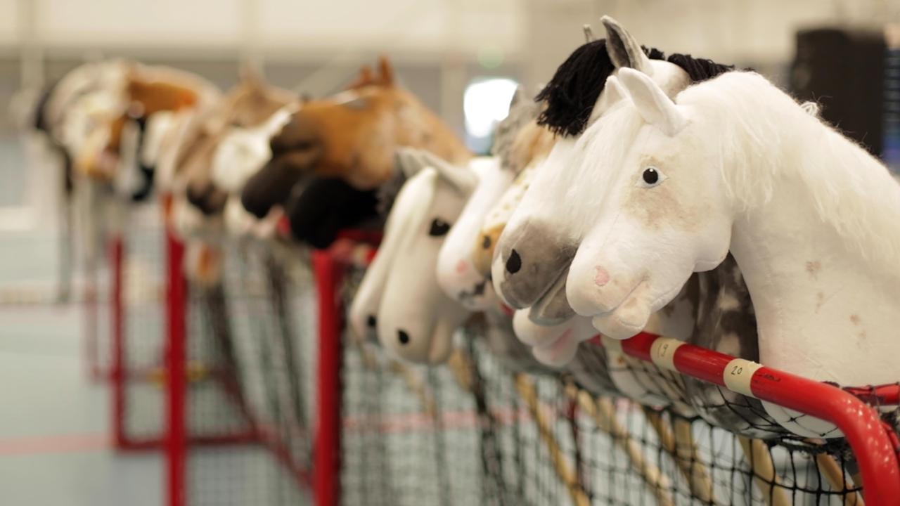 Dozens of hobby horses lined up ready to be ridden during the 8th Hobby Horse championships in Seinajoki, Finland on June 15. Picture: AP