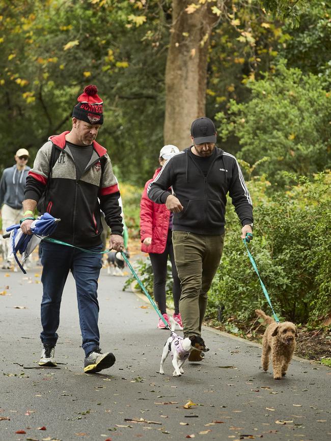 Million Paws Walk in the Adelaide Botanic Gardens, Sunday, May 28, 2023. Picture: Matt Loxton
