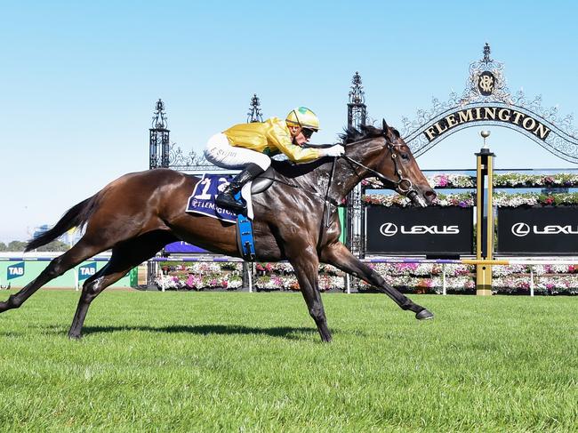 Estriella ridden by Blake Shinn wins the Sunlight Classic at Flemington Racecourse on March 30, 2024 in Flemington, Australia. (Photo by Ross Holburt/Racing Photos via Getty Images)