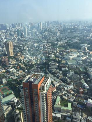 Tokyo goes on and on from the Roppongi Mori Tower