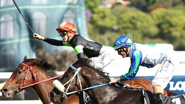 Connections of The Everest winner Think About It are keen for a clash with NZ star Imperatriz in Sydney during the Autumn carnival Picture: Jeremy Ng/Getty Images