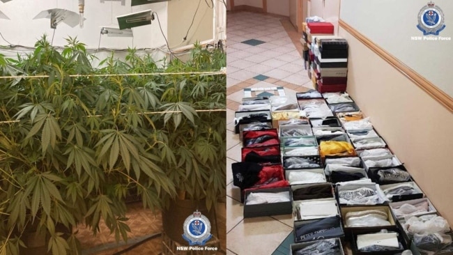 NSW Police found indoor hydroponic cannabis set-ups at three units at Randwick (left) and suspected stolen luxury goods in Maroubra (right). Picture: NSW Police