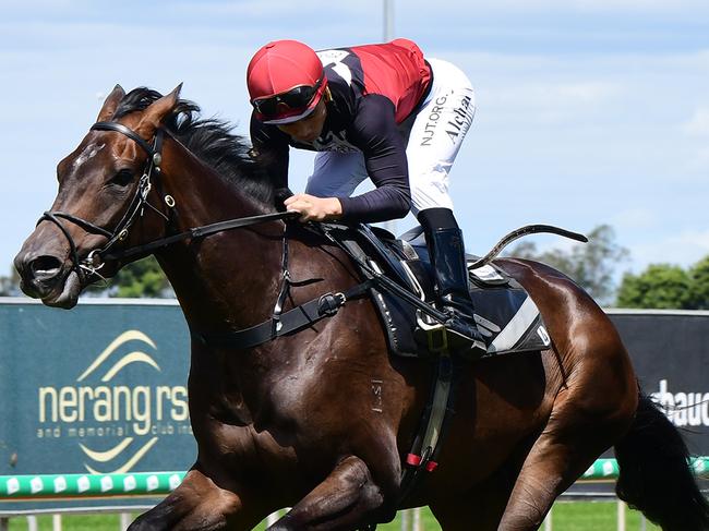 Supergiant (inside) shades The Candy Man in a gallop at the Gold Coast yesterday. Picture: Trackside Photography