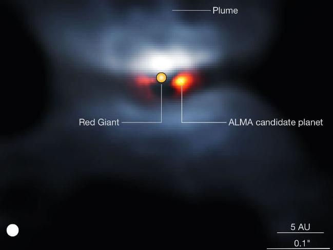 A composite view of L2 Puppis in visible light (from the VLT/SPHERE instrument, blue colours) and ALMA continuum (orange colours). The central star light has been subtracted from the ALMA image to better show the companion object. Picture: P. Kervella et al/CNRS /U. de Chile/Observatoire de Paris/ LESIA/ESO/ALMA