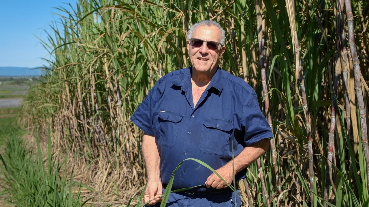 Canegrowers Queensland chairman Paul Schembri. Picture: Contributed