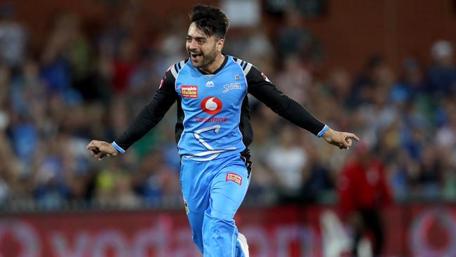 Rashid Khan celebrates taking a wicket for the Strikers.