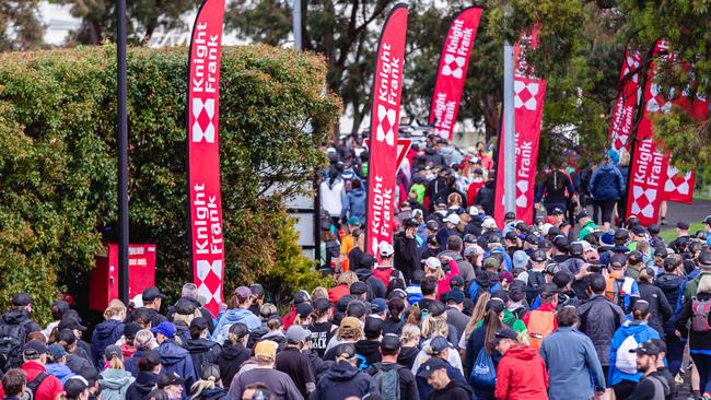 The start of the Point to pinnacle walking race. Picture: Linda Higginson