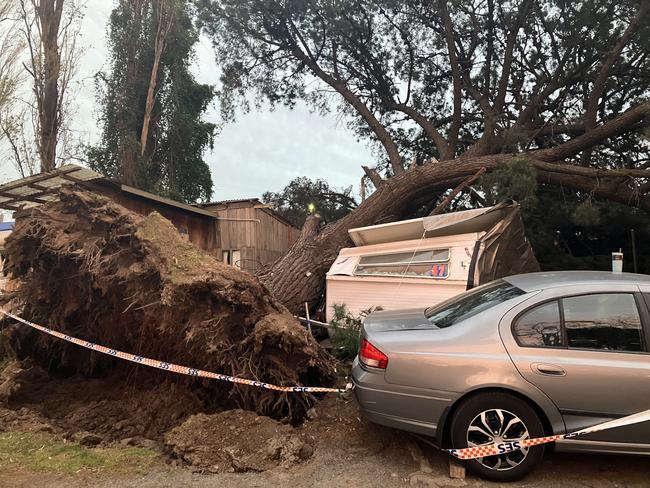 The man was lying in bed when the tree fell on his caravan. Picture: Odessa Blain