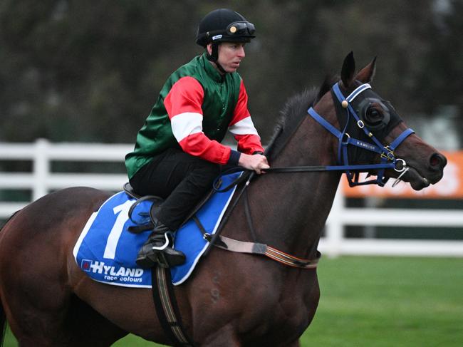 MELBOURNE, AUSTRALIA - OCTOBER 10: Damian Lane riding Amelia's Jewel during a trackwork session at Caulfield Racecourse on October 10, 2023 in Melbourne, Australia. (Photo by Vince Caligiuri/Getty Images)