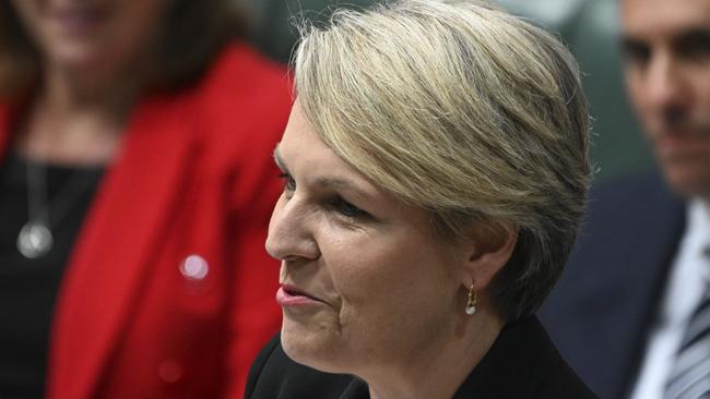 Minister for the Environment and Water Tanya Plibersek. Picture: NCA NewsWire / Martin Ollman