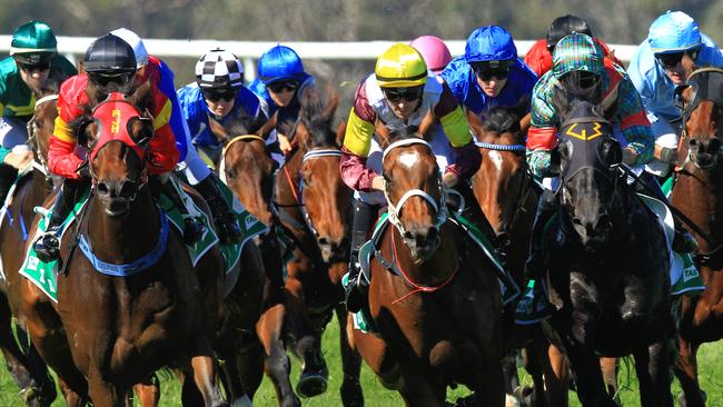 Racing in New South Wales on Friday is at Kembla and Muswellbrook.