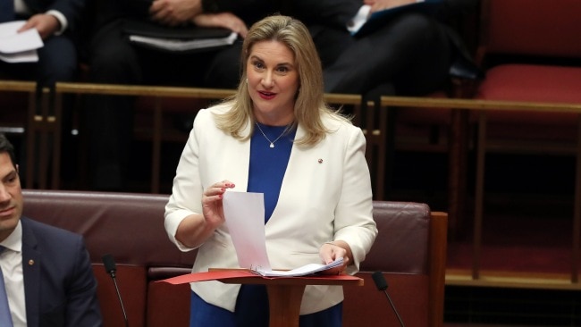 Liberal Senator Hollie Hughes slammed Labor's plans to invest further in renewables. Picture: Gary Ramage