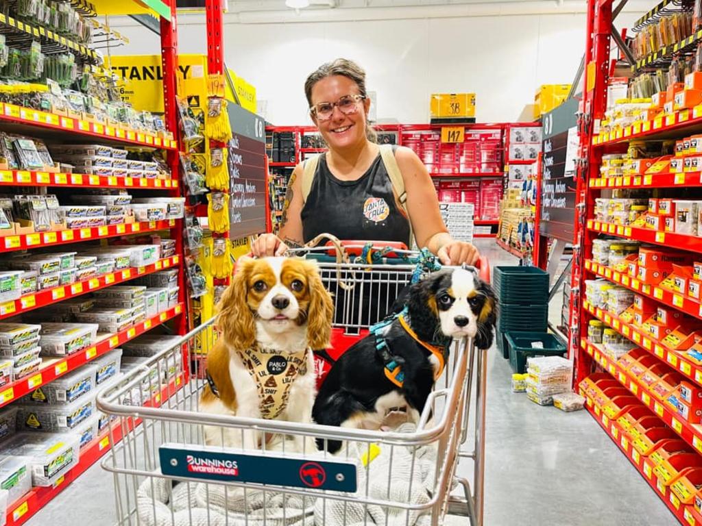 Bunnings dog 2025