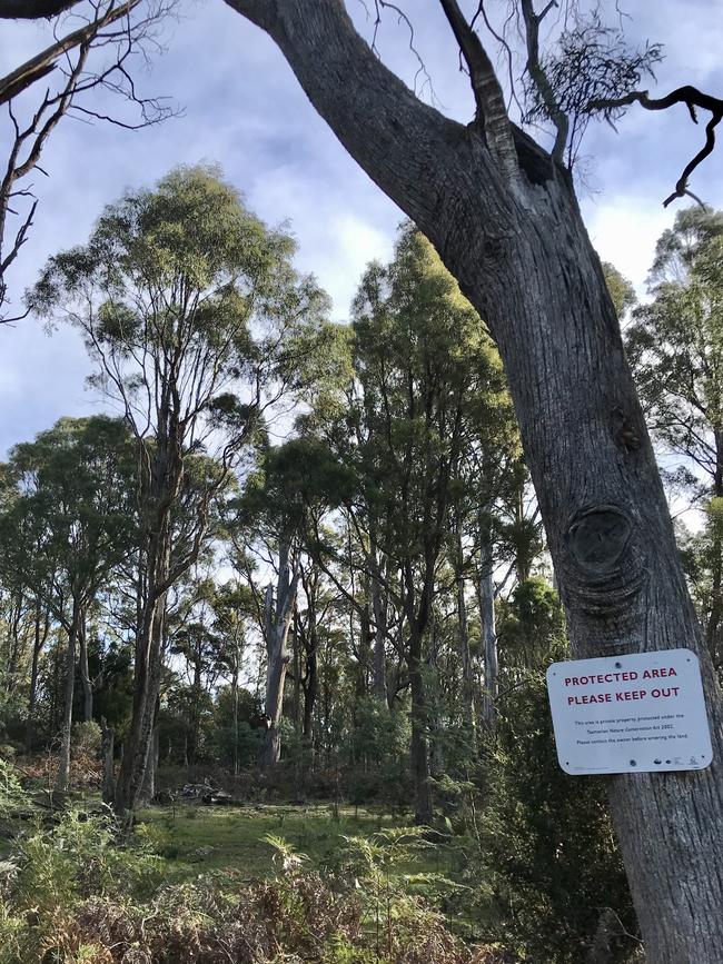 The Tasmanian Government's proposed site for a Northern Regional Prison at Brushy Rivulet in the state's north. Picture: PATRICK GEE