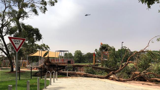 A large trees down at new council playground at Lionel Watts Reserve. Picture: Jim O'Rourke.