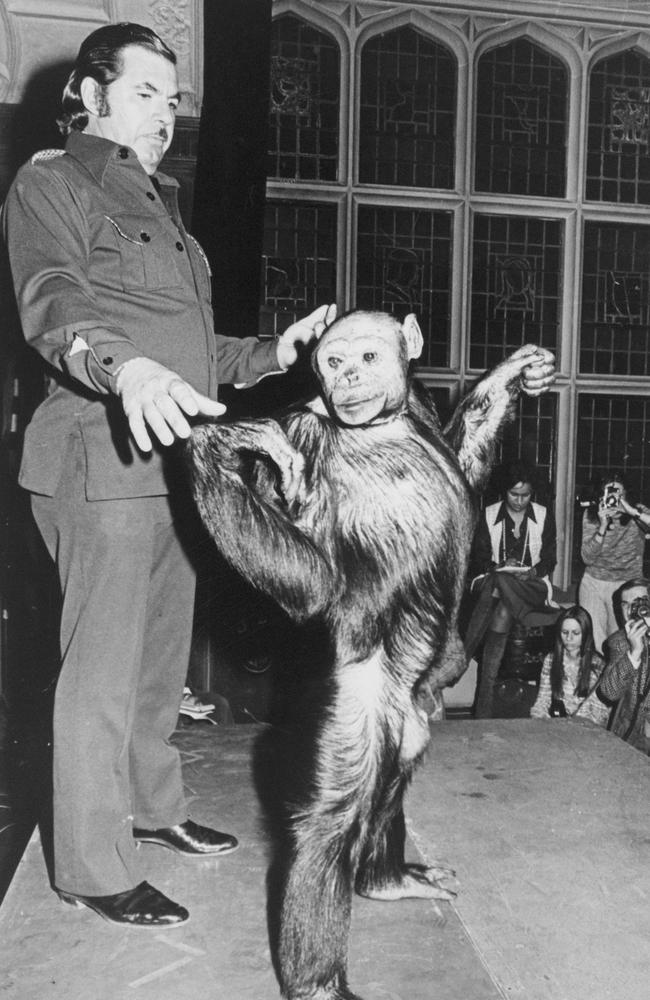 Human-chimp hybrid: ‘Humanzee’ reportedly born in lab 100 years ago