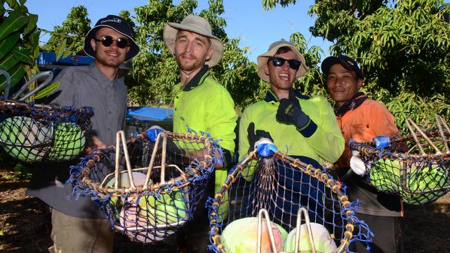 Fruit-picking backpackers would rip $360 million from the tourism industry. 