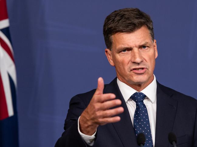 Angus Taylor is a frontrunner for the role. Picture: NewsWire / Monique Harmer