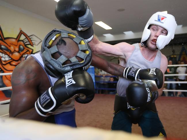Jeff Horn is sparring with Ray Robinson ahead of his fight with Terrance Crawford. Picture: Peter Wallis